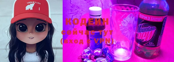прущие грибы Козельск