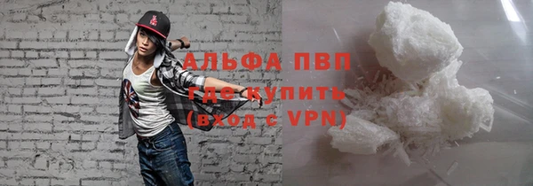 прущие грибы Козельск