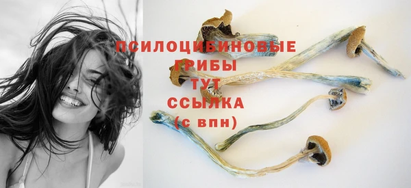 таблы Козловка