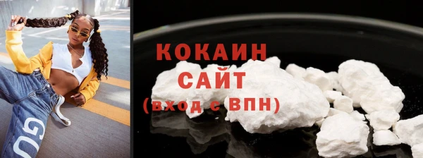 прущие грибы Козельск