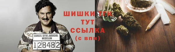 прущие грибы Козельск