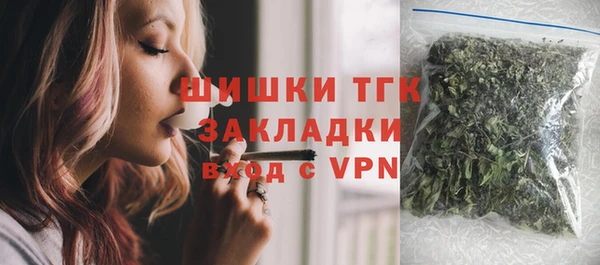 прущие грибы Козельск