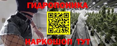 стафф Коммунар