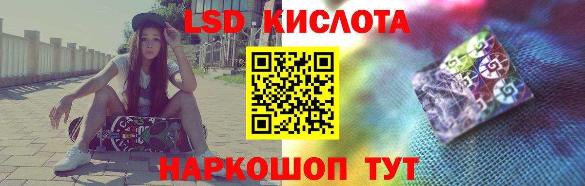 МЕФ Северск
