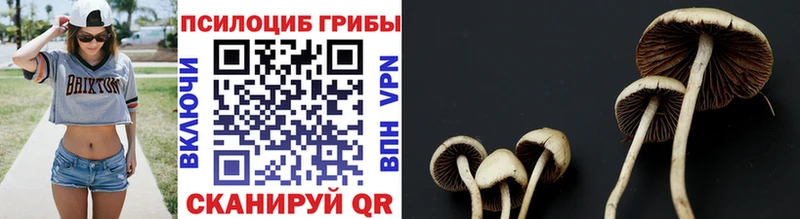 Галлюциногенные грибы Magic Shrooms  Северск 