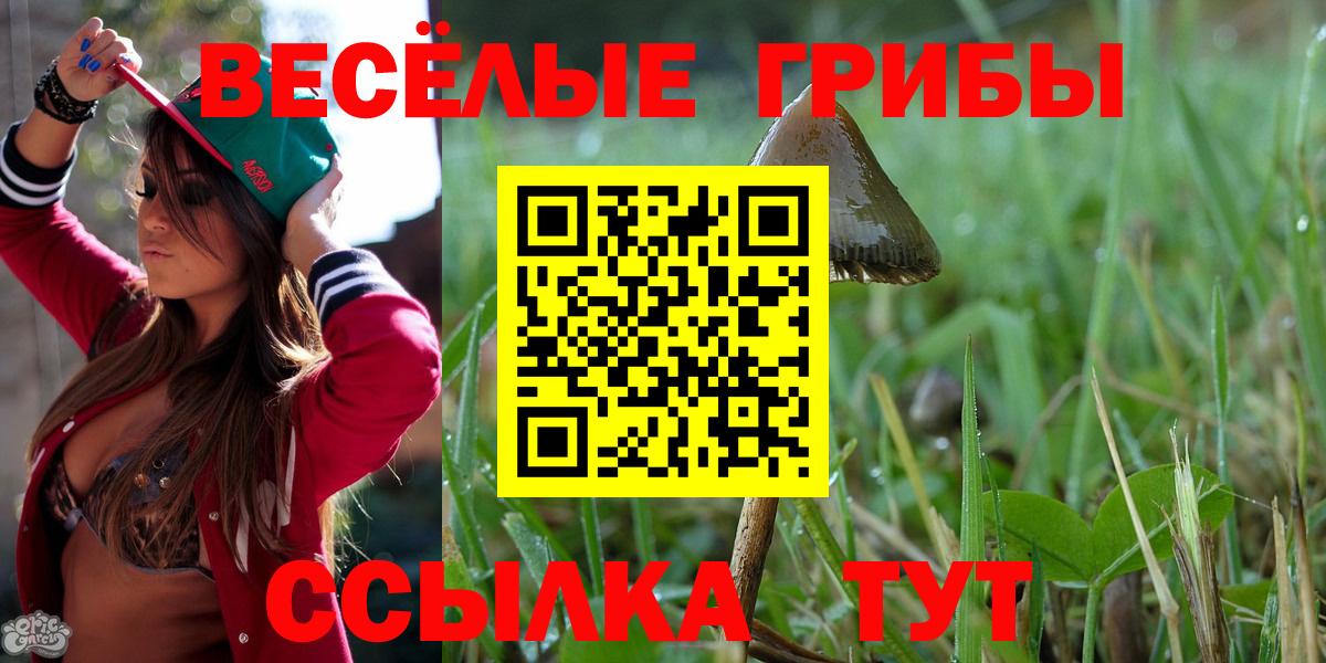 Галлюциногенные грибы мухоморы Северск