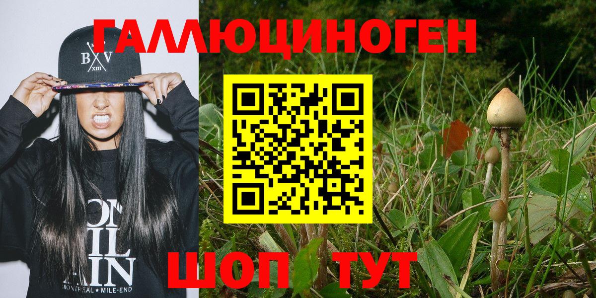 Северск  купить наркоту  Вход с VPN  Псилоцибиновые грибы мухоморы 