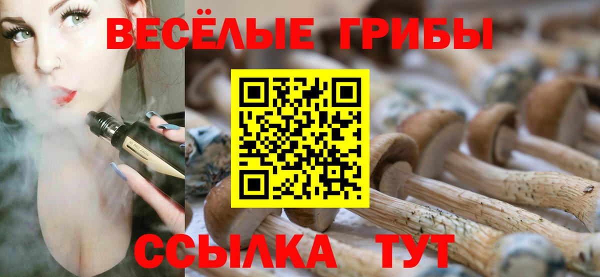 Галлюциногенные грибы GOLDEN TEACHER Северск